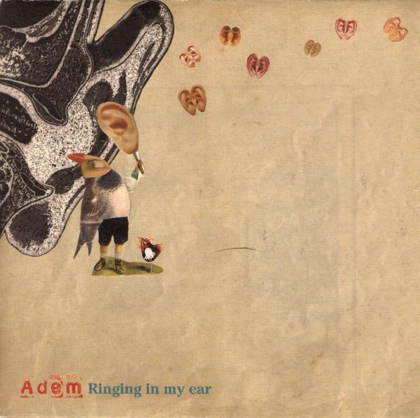 Adem (2) - Ringing In My Ear
