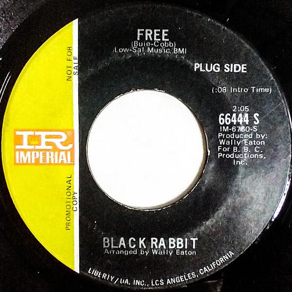 Black Rabbit  - Free