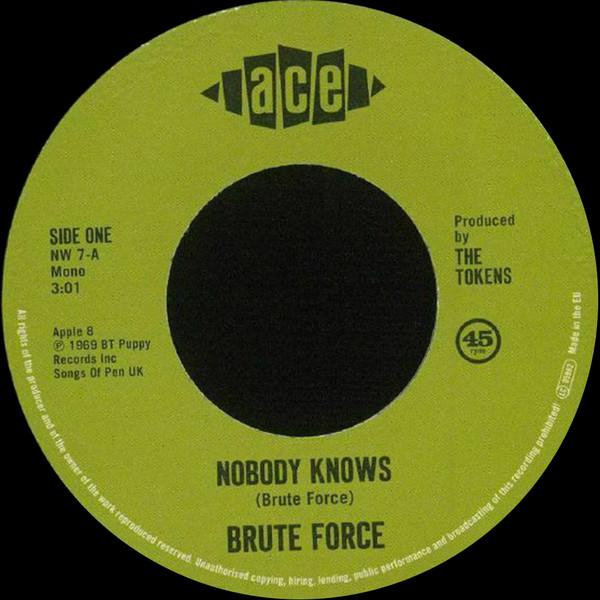 Brute Force (2) - Nobody Knows / King Of Fuh