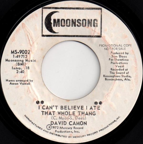 David Camon - I Can't Believe I Ate That Whole Thang