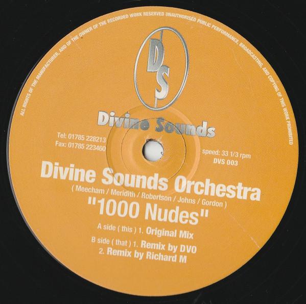 Divine Sounds Orchestra - 1000 Nudes