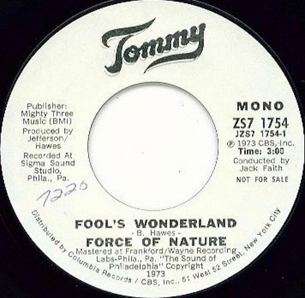 Force Of Nature  - Fool's Wonderland