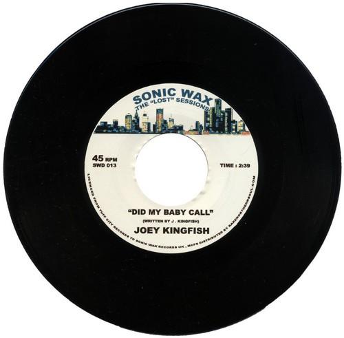 Joey Kingfish - Did My Baby Call