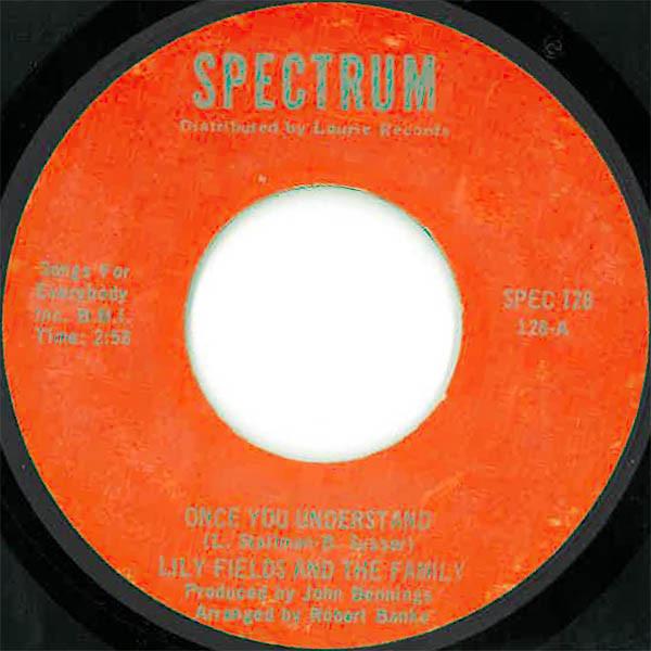 Lily Fields And The Family - Once You Understand