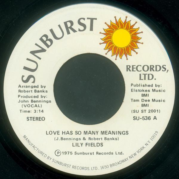 Lily Fields - Love Has So Many Meanings