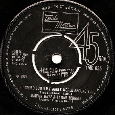 Marvin Gaye, Tammi Terrell - If I Could Build My Whole World Around You