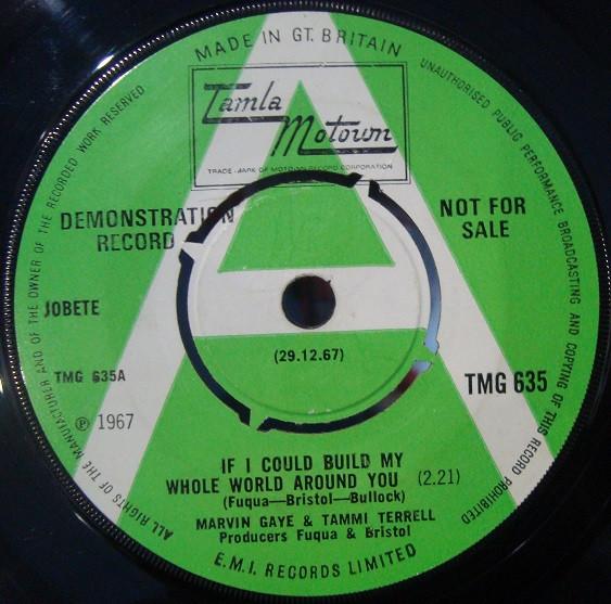 Marvin Gaye, Tammi Terrell - If I Could Build My Whole World Around You