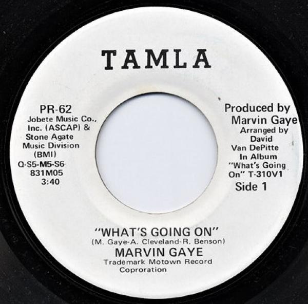 Marvin Gaye - What's Going On / Mercy Mercy Me (The Ecology)