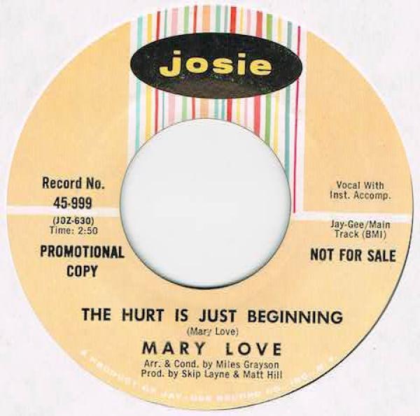 Mary Love - The Hurt Is Just Beginning