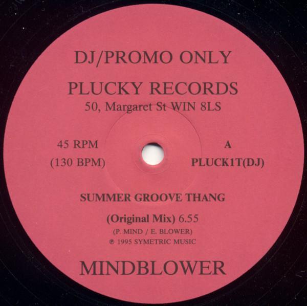 Mindblower  - Summer Groove Thang