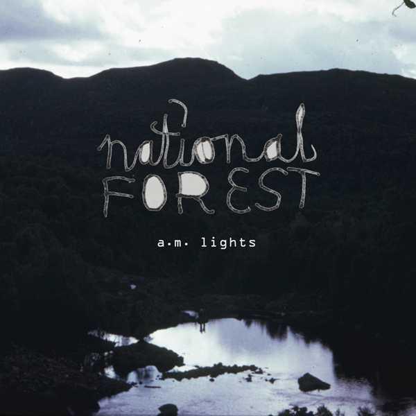 National Forest - A.M. Lights