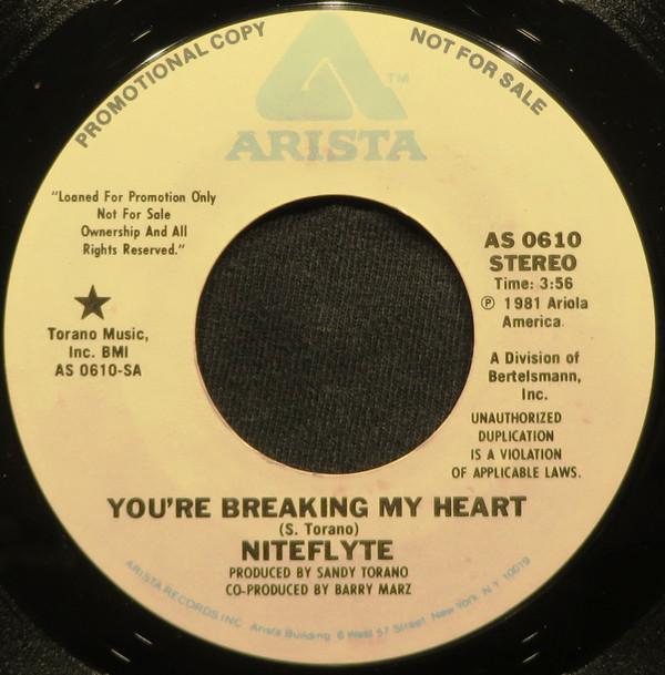 Niteflyte - You're Breaking My Heart
