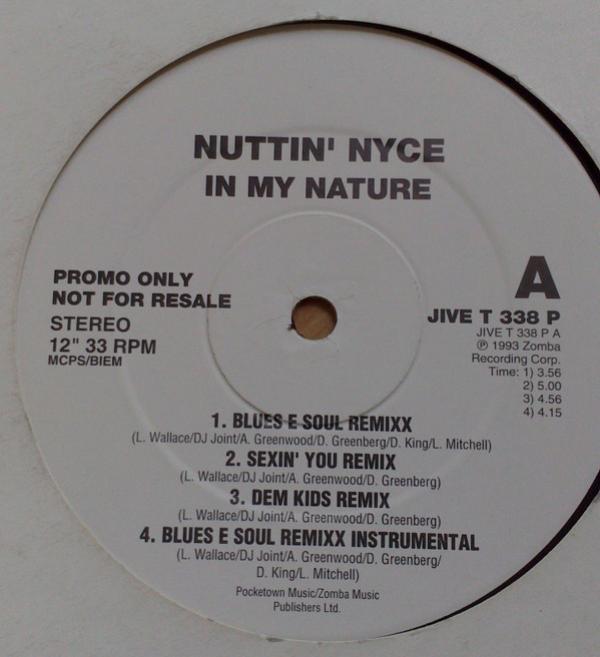 Nuttin' Nyce - In My Nature