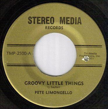Peter Lemongello - Groovy Little Things