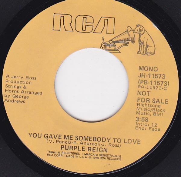 Purple Reign - You Gave Me Somebody To Love