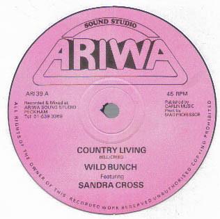 Sandra Cross, The Wild Bunch (2) - Country Living