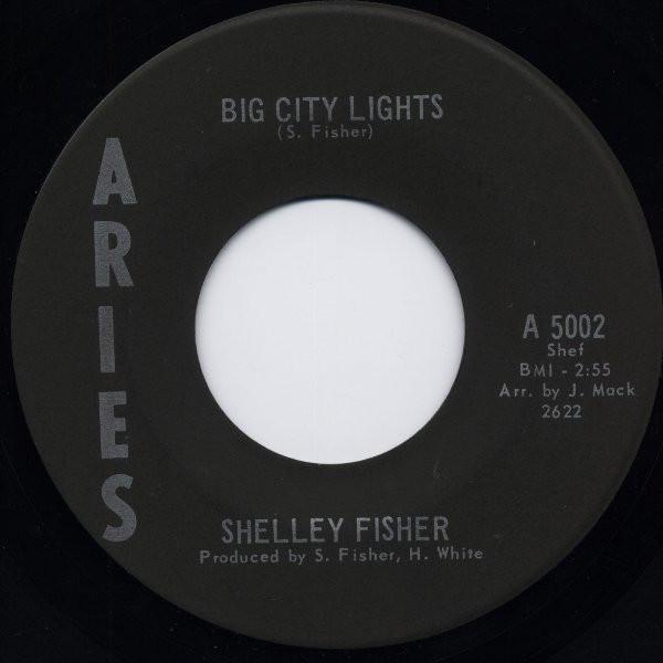 Shelley Fisher - Big City Lights