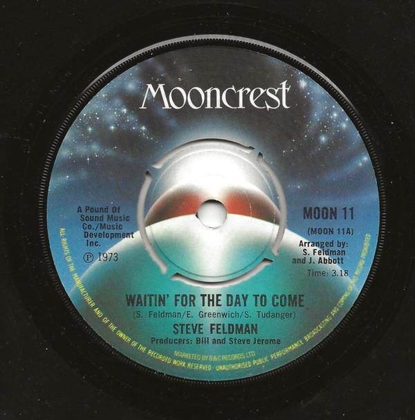 Steve Feldman (2) - Waitin' For The Day To Come