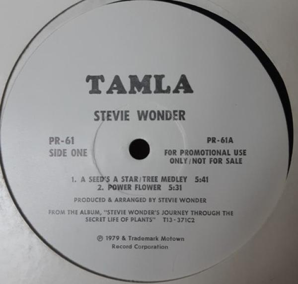 Stevie Wonder - A Seed's A Star / Tree Medley