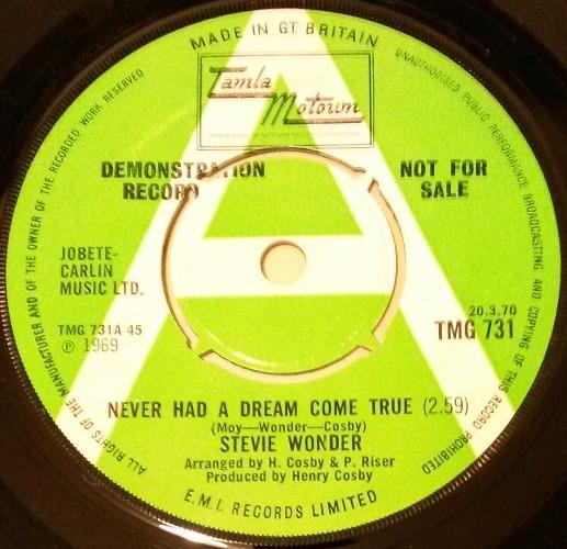 Stevie Wonder - Never Had A Dream Come True