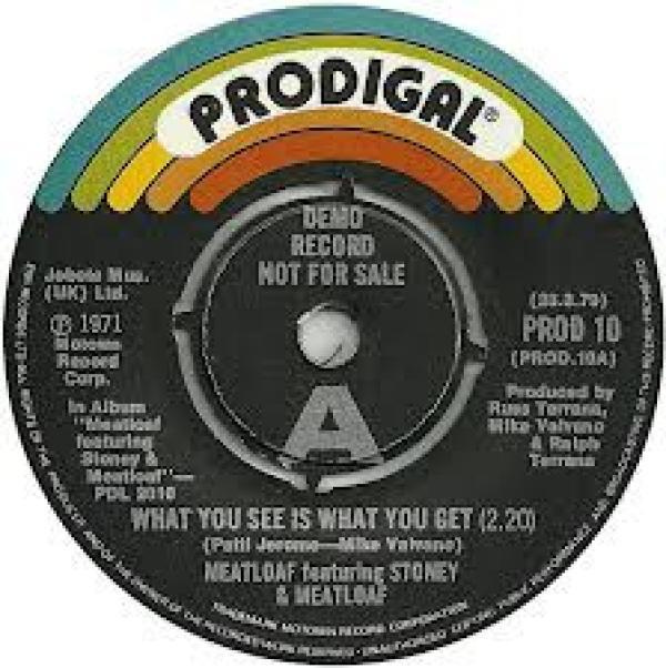 Stoney & Meatloaf - What You See Is What You Get / The Way You Do The Things You Do