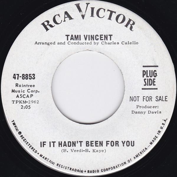 Tami Vincent - If It Hadn't Been For You