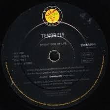 Tenor Fly - Bright Side Of Life