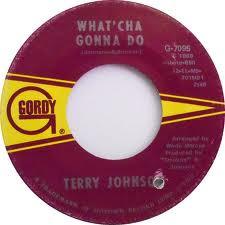 Terry Johnson - What'cha Gonna Do / Suzie