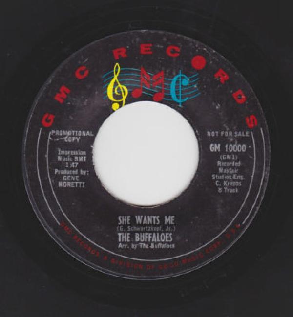 The Buffaloes - She Wants Me / You Told Me Lies
