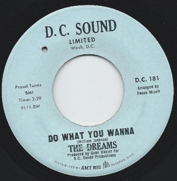 The Dreams  - Do What You Wanna