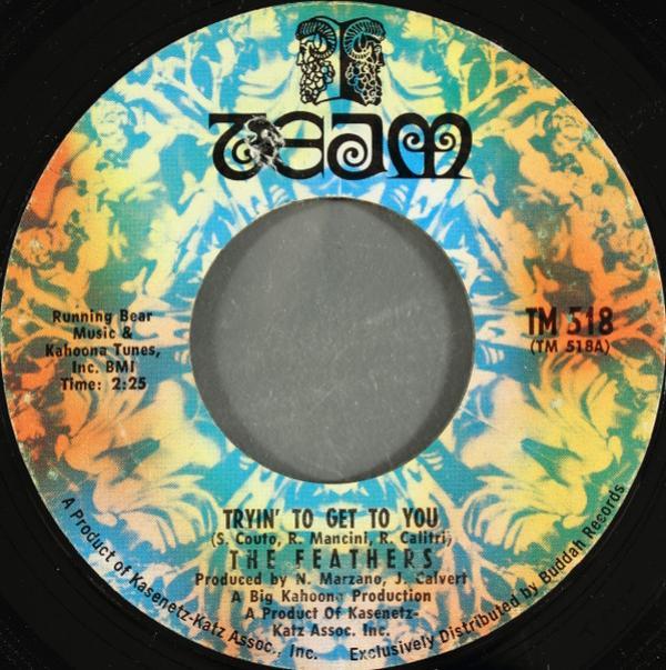 The Feathers  - Tryin' To Get To You