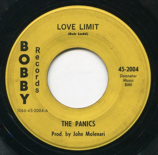 The Panics  - Love Limit / Love Riot