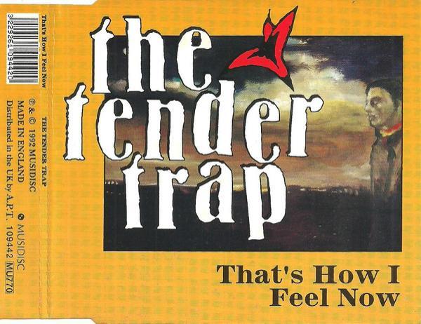 The Tender Trap  - That's How I Feel Now