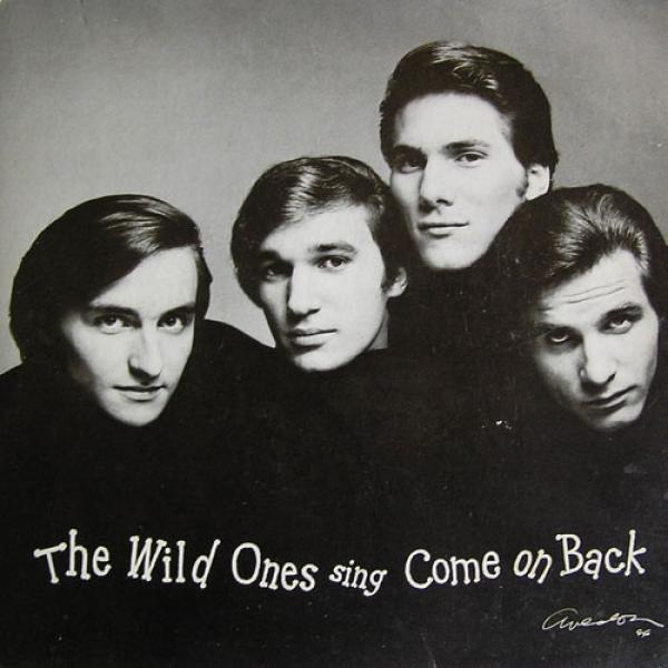 The Wild Ones (3) - Come On Back