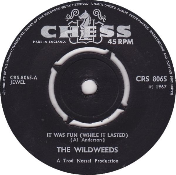 The Wildweeds - It Was Fun (While It Lasted)