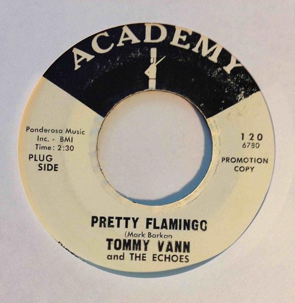 Tommy Vann And The Echoes - Pretty Flamingo