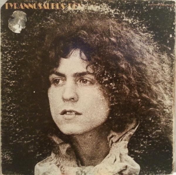 Tyrannosaurus Rex - A Beard Of Stars