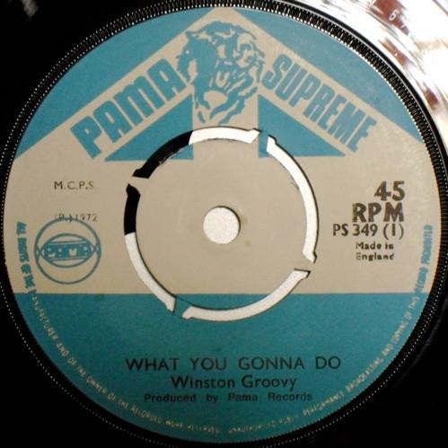 Winston Groovy - What You Gonna Do